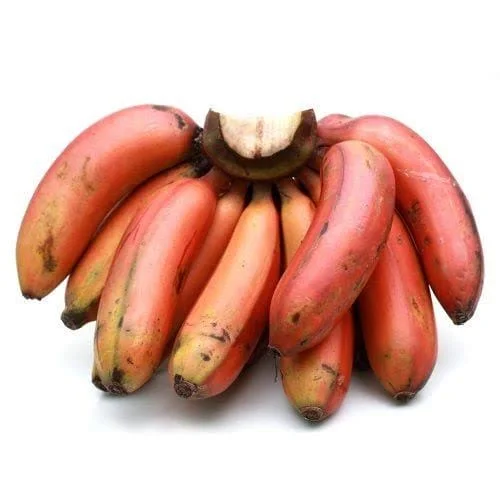 Red bananas